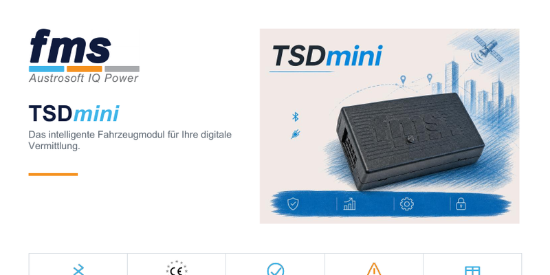 TSDmini